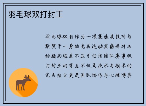 羽毛球双打封王
