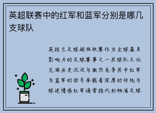 英超联赛中的红军和蓝军分别是哪几支球队
