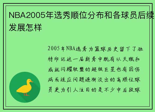NBA2005年选秀顺位分布和各球员后续发展怎样